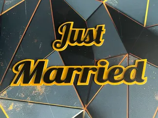 Just Married Sign / Cake Decoration
