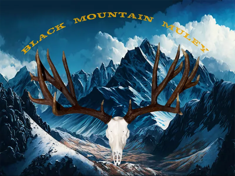 Black Mountain Muley Euro Skull