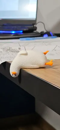 Only duck with fuzzy skin body
