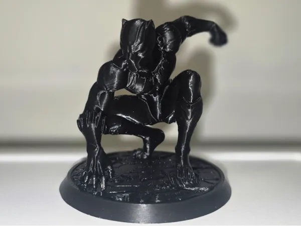 https://makerworld.bblmw.com/makerworld/model/USe7af343a48d610/design/1376ffd5e0e26c7a.jpg