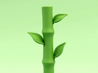 bamboo