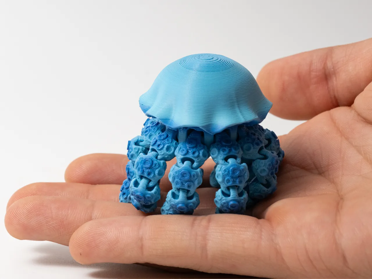 Flexi Jellyfish view 4