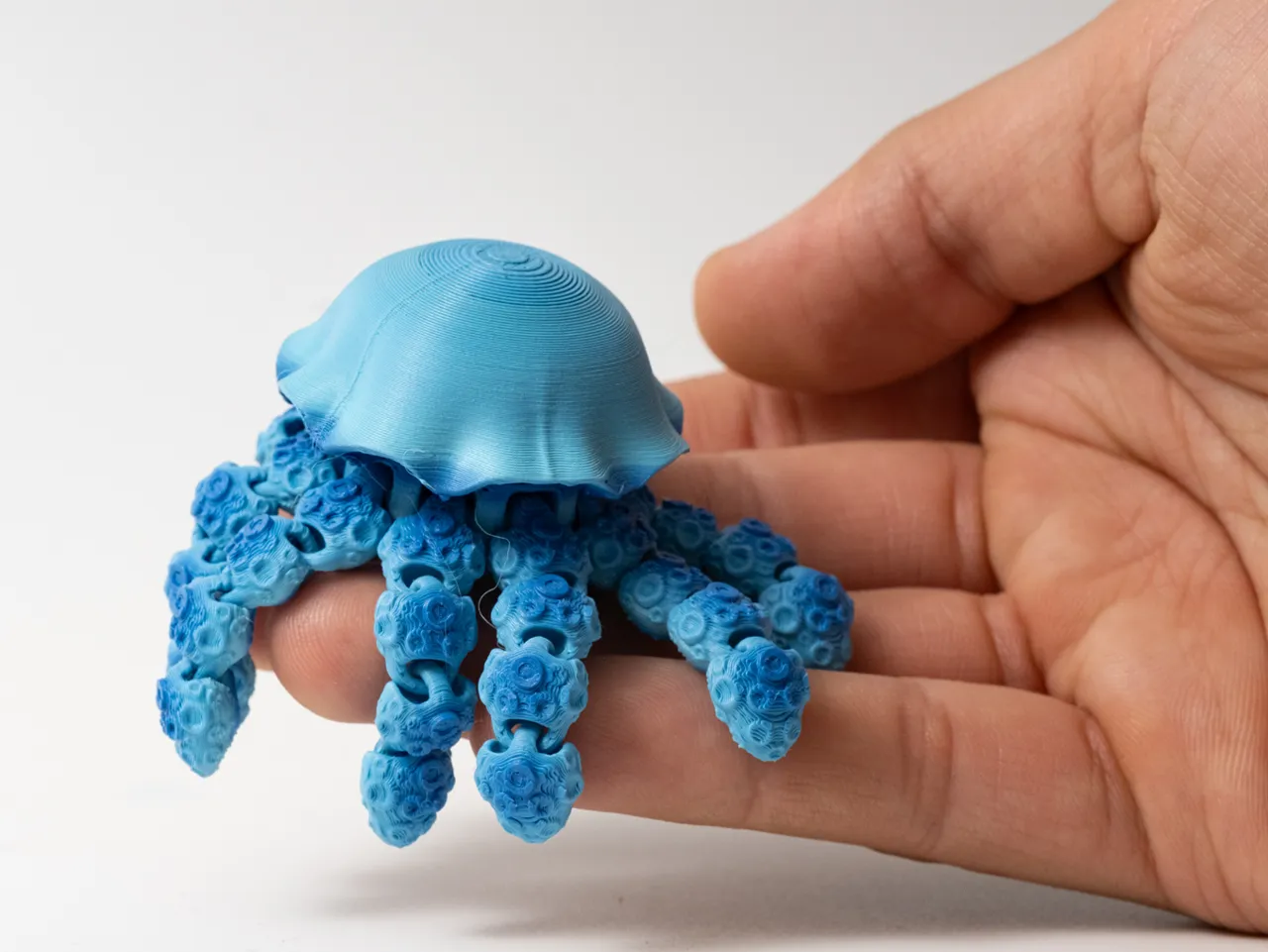 Flexi Jellyfish view 3