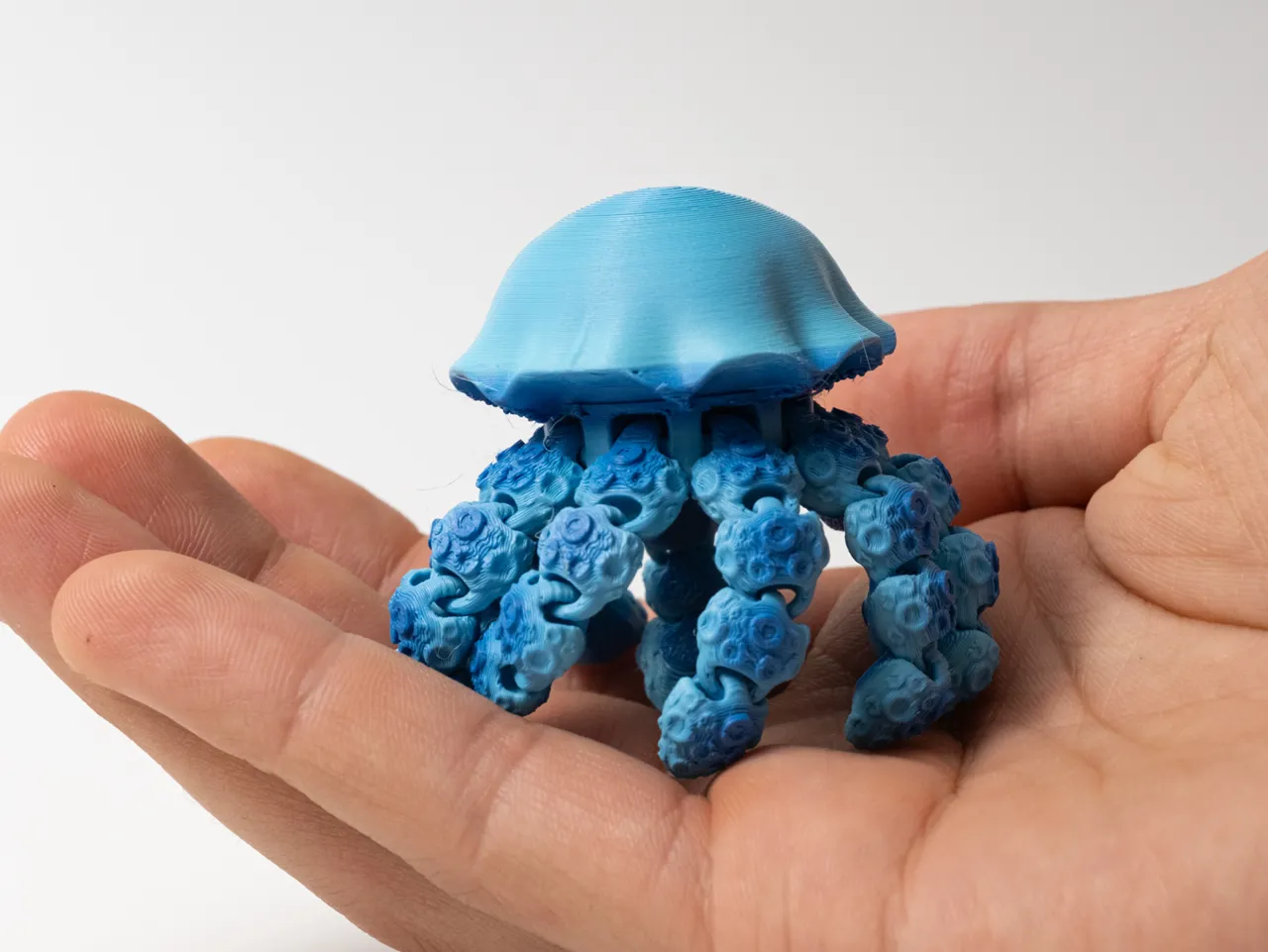 Flexi Jellyfish view 2