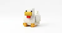50 percent  chicken