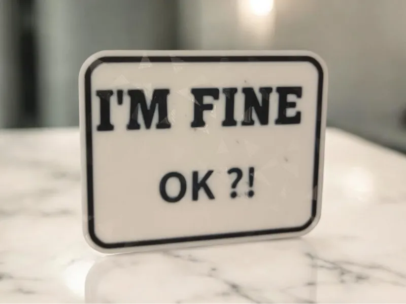 I'M FINE OK ?! | Coaster