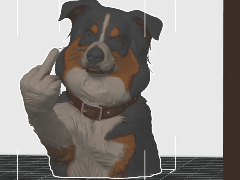 funny dog