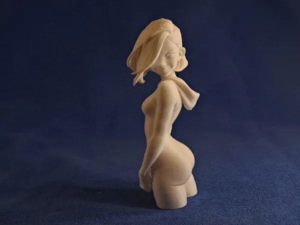 https://makerworld.bblmw.com/makerworld/model/USe7bc049ad9e743/design/102abaa03b140c92.jpg