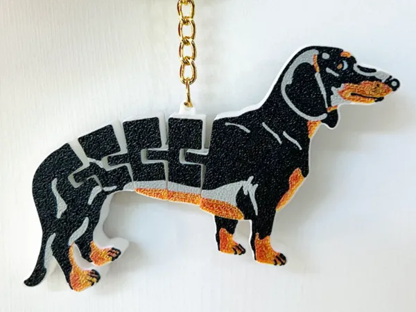https://makerworld.bblmw.com/makerworld/model/USe7c349e3bd980d/design/2025-04-27_bc9a14c00dfbd.jpeg