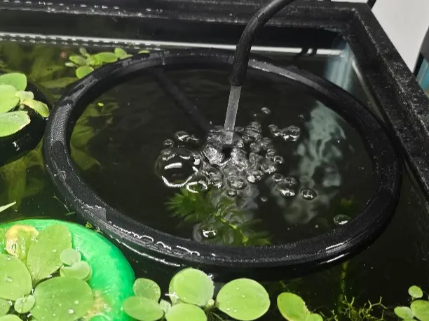 6 inch Sponge Filter bubble ring