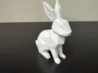 Lapin low poly design — photo 2