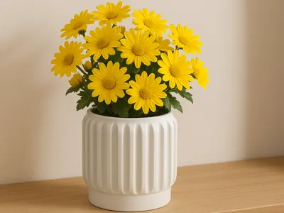 Indoor Plant Pot