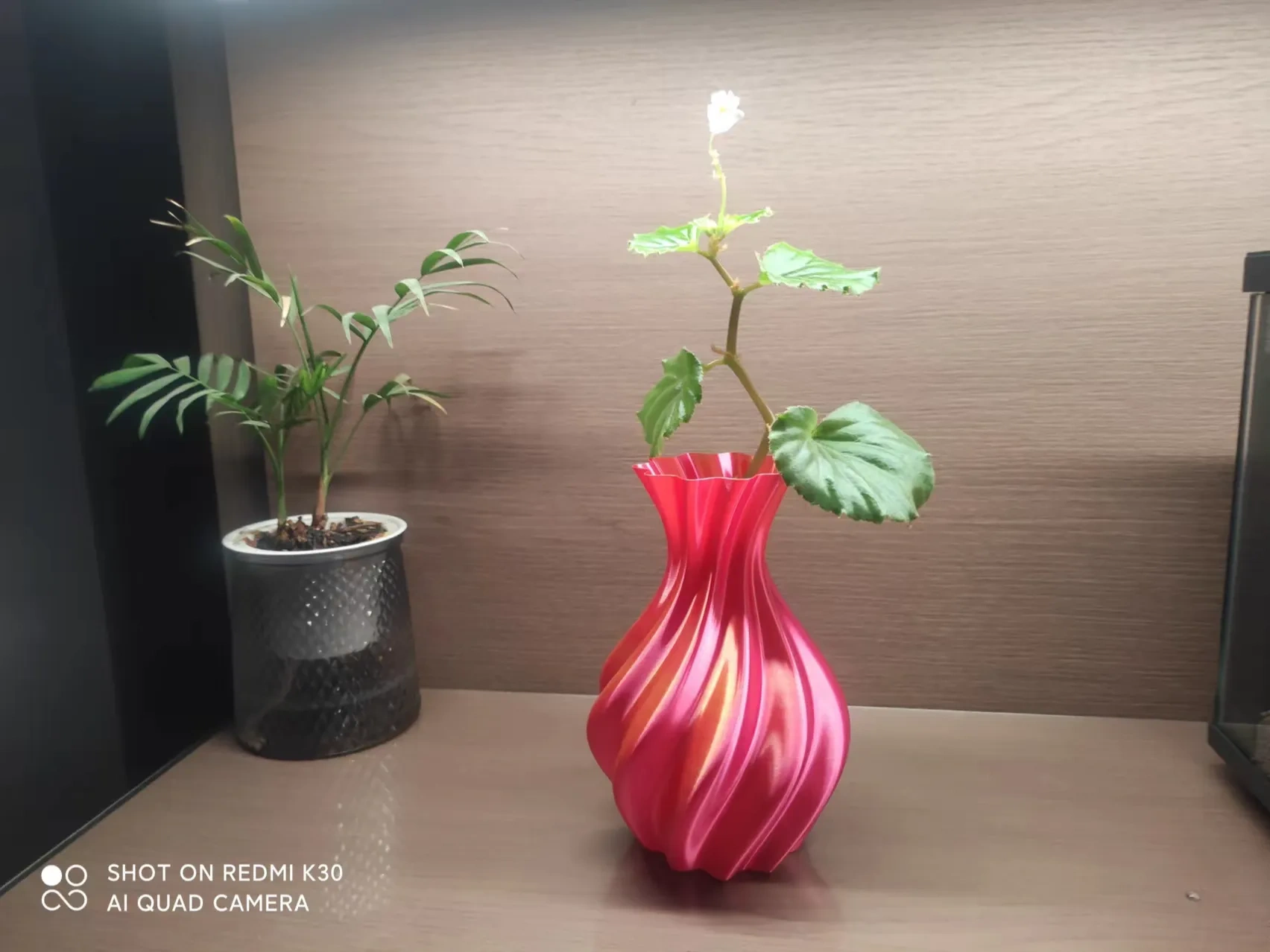 美学花瓶 - Aesthetic vase