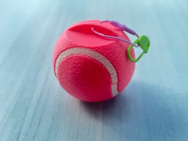 https://makerworld.bblmw.com/makerworld/model/USe7cf052205b60b/design/2025-09-23_191def66533108.jpg