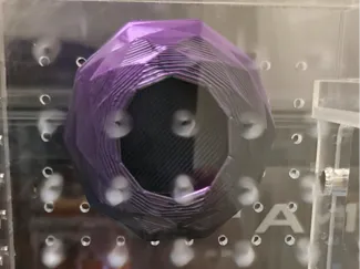 Jumping Spider Hide