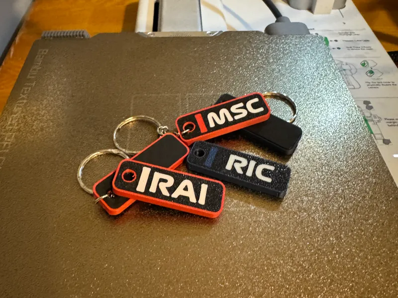 Historic F1 Driver Tags keychain