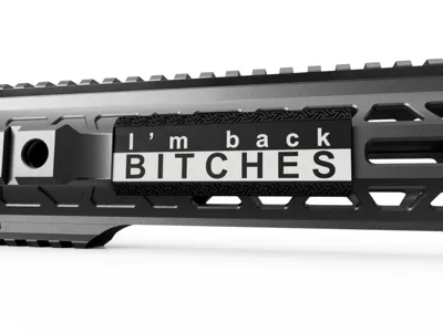 Back / Custom M-LOK Rail Cover