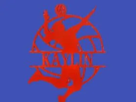 PALLAVOLO KAYLIN