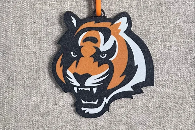 Cincinnati Bengal's