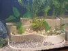 0.2mm layer, 2 walls, 10% infill
