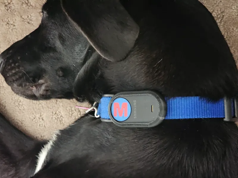 SmartTag2 Dog Collar Tracker - TPU