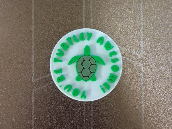 Médaillon tortue humour