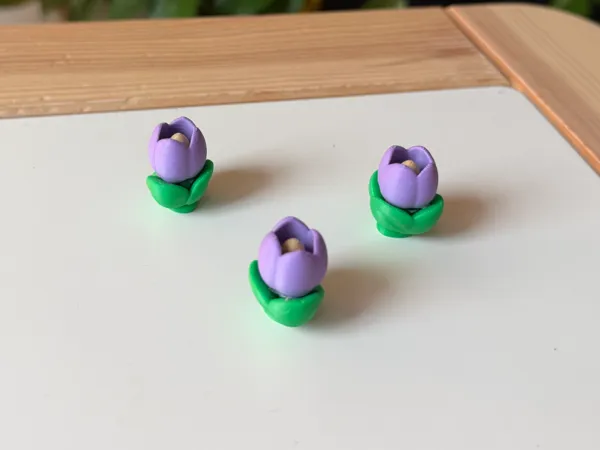 https://makerworld.bblmw.com/makerworld/model/USe7eed628a09e04/design/49103ac52b91779c.jpeg