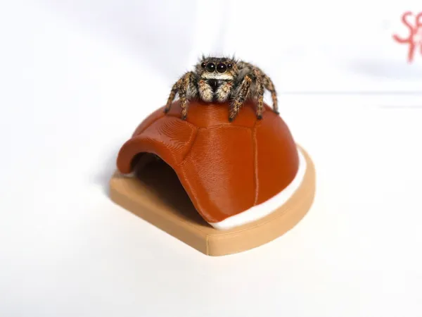 https://makerworld.bblmw.com/makerworld/model/USe7f5434fffdcff/design/d99377a892de46d4.png