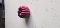 Petite citrouille décorative — photo 3