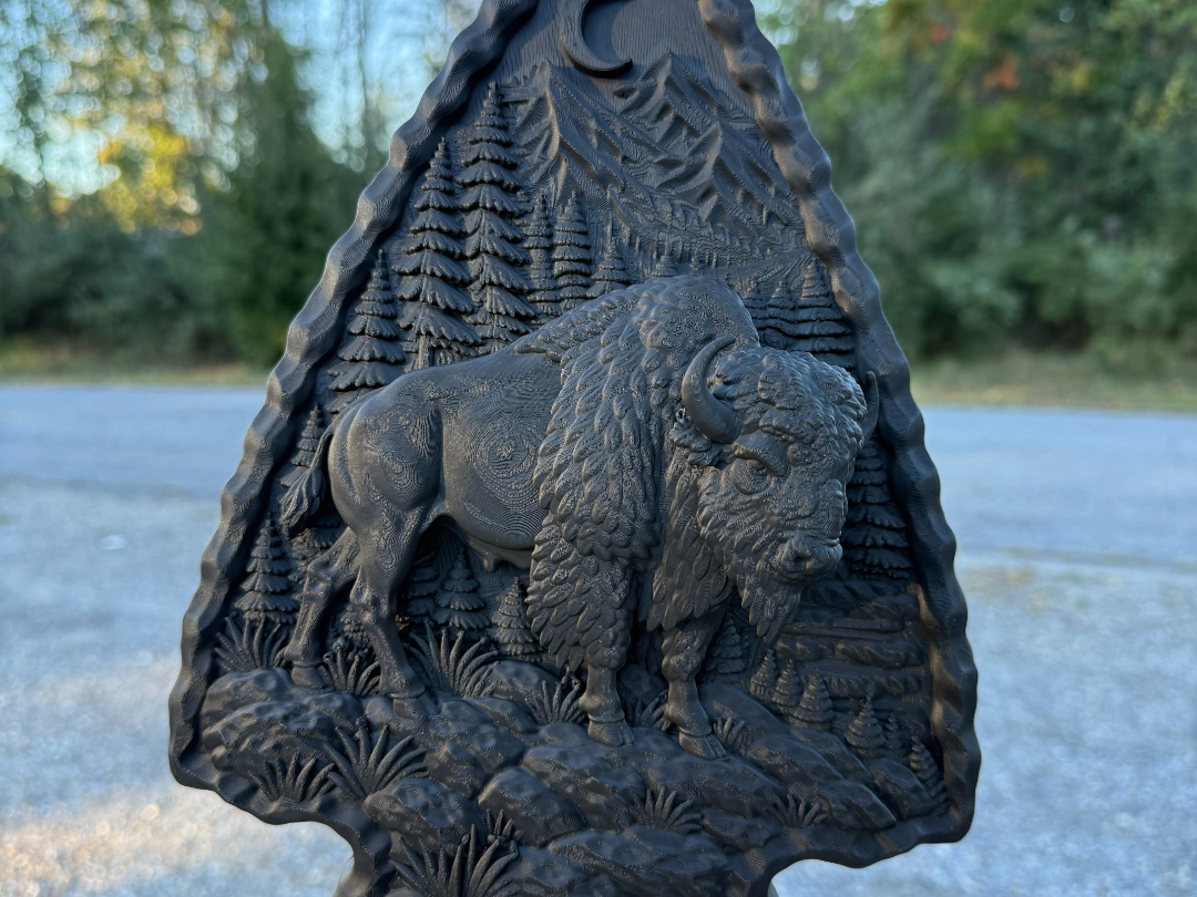 Bison Arrowhead Frame - 1