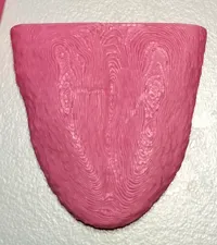 tongue upper neutral