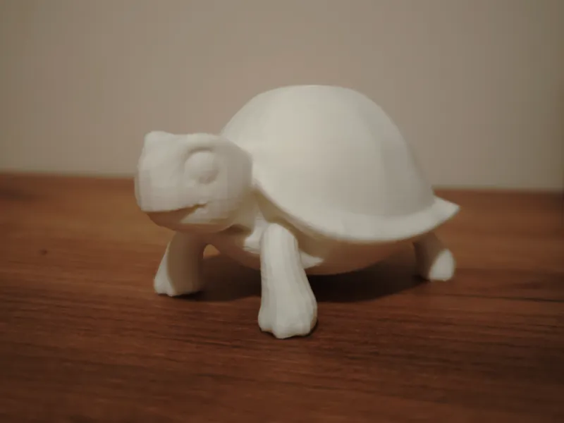 Turtle