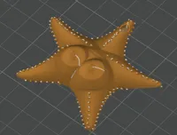 Étoile mème viral Estrella Culona — photo 3