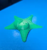Étoile mème viral Estrella Culona — photo 2