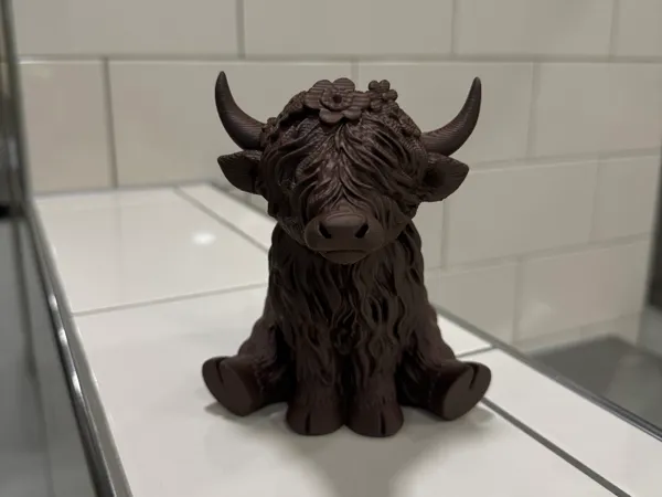 https://makerworld.bblmw.com/makerworld/model/USe808478ad001d8/design/67bf5ec065a0b020.jpeg