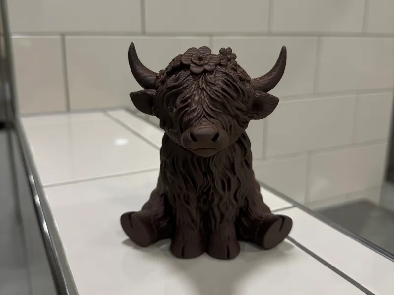 Highland Cow