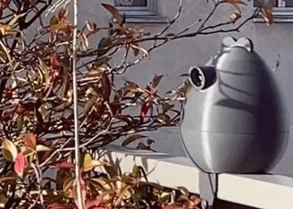 Nichoir mésange / Tit birdhouse
