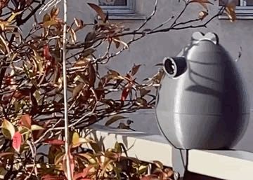 Nichoir mésange / Tit birdhouse