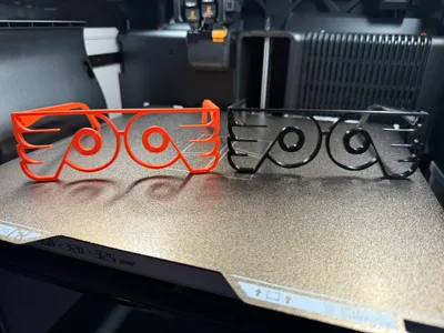 Flyers Glasses