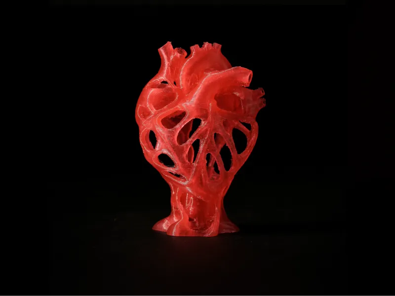 Skeletal Valentines Heart