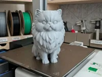 0.12mm layer, 2 walls, 6% infill