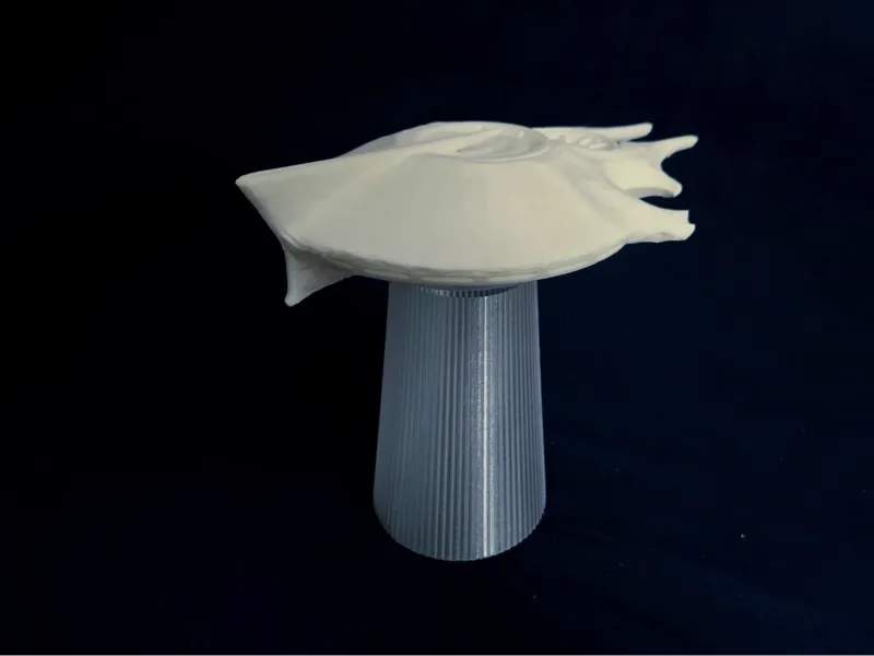 HD2 Illuminate Ship Stand