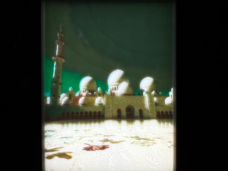 Litofania Gran moschea dello sceicco Zayed