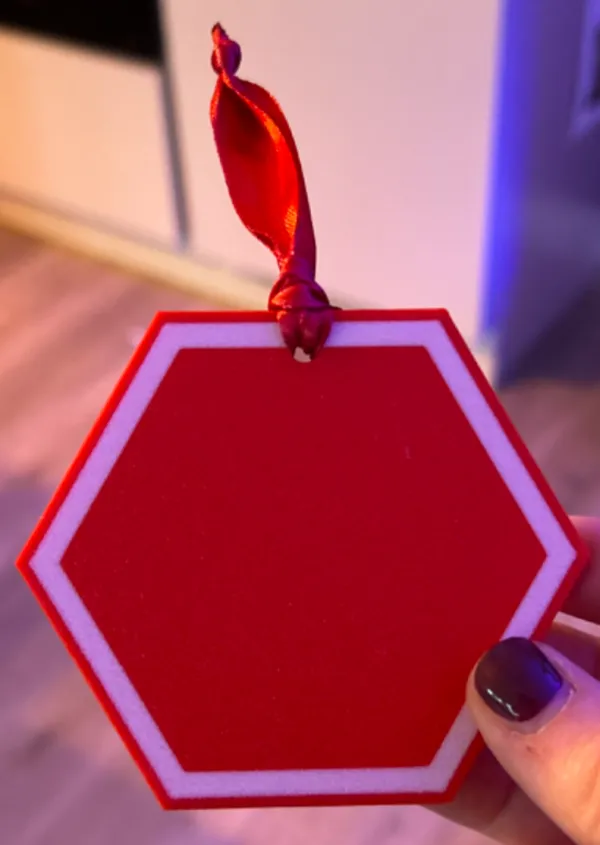 https://makerworld.bblmw.com/makerworld/model/USe81d36e493838b/design/2024-11-25_02ecf0984b2a48.jpg