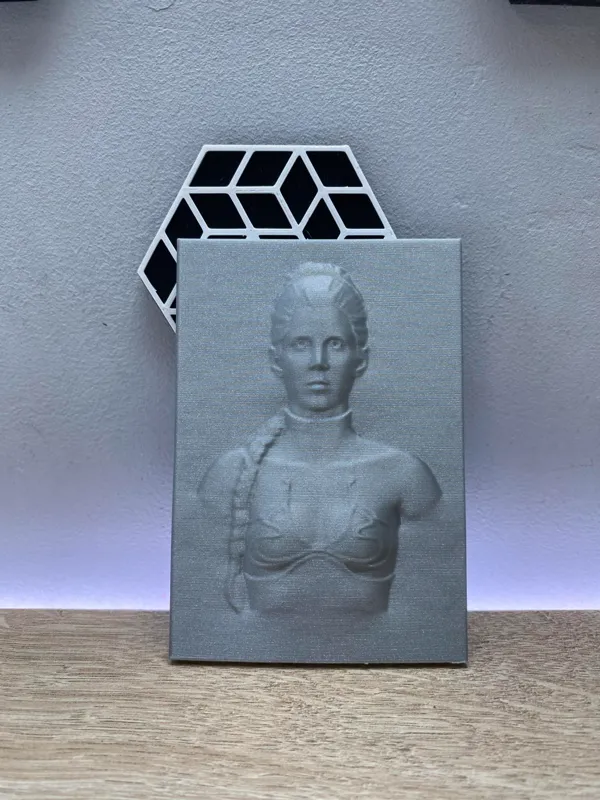 https://makerworld.bblmw.com/makerworld/model/USe81e1c6905f9a7/design/2024-03-08_07dc4cba91696.jpg