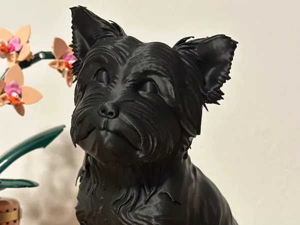 https://makerworld.bblmw.com/makerworld/model/USe81f86f2f73f18/design/2025-12-12_452603d7f7f01.jpeg