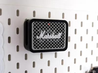 Jbl GO2 skadis mount - with swappable front plates