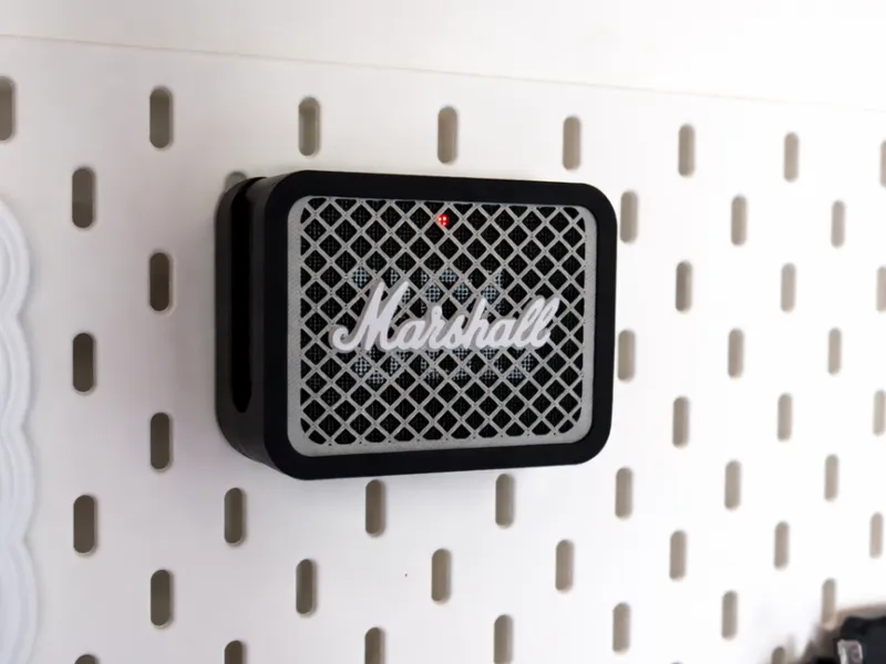Jbl GO2 skadis mount - with swappable front plates