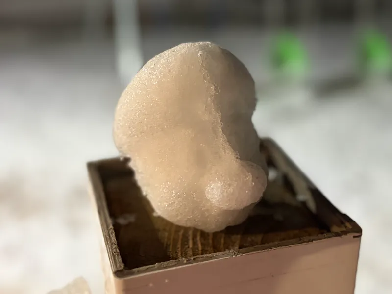 Mario snowball mold