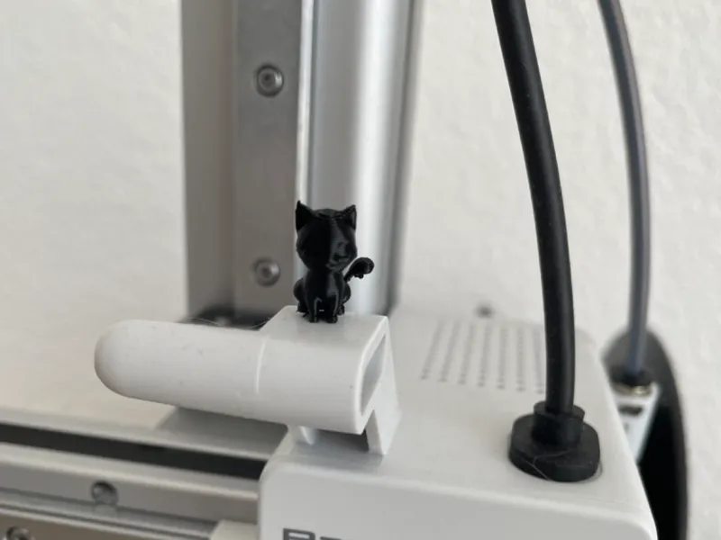 the smallest cat ever